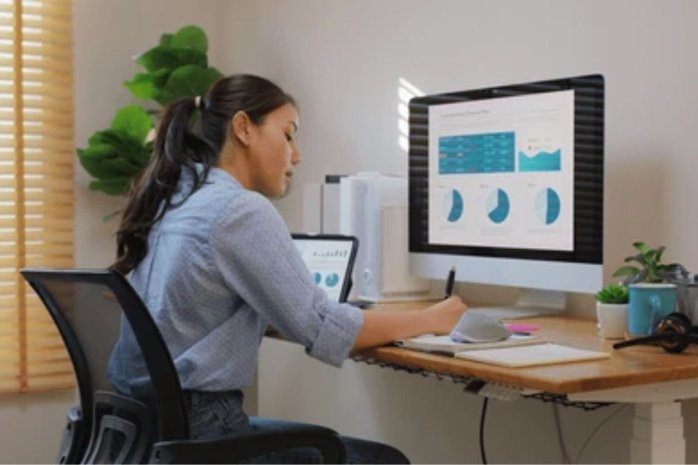 Contracts and Accounts